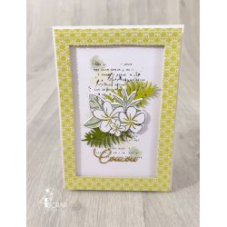 Exotic fragrances - Clear Stamps