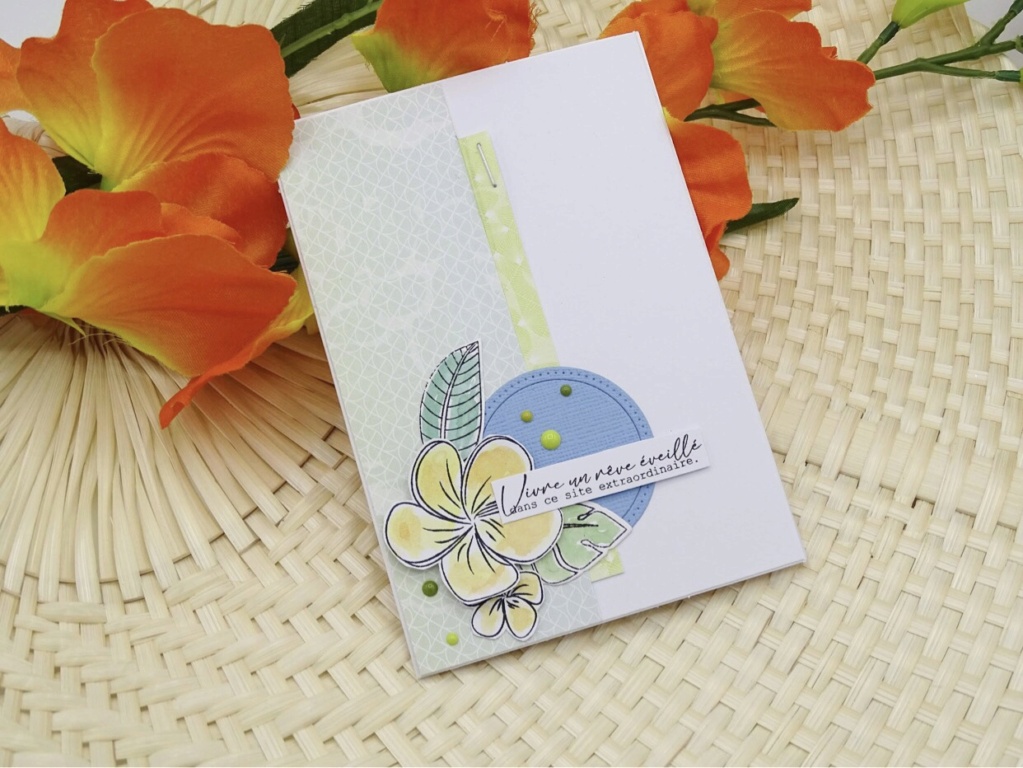 Carte sur le thème de l'exostime avec un fleur de frangipane et des feuillages.