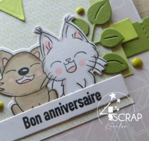 Carte de scrapbooking sur le theme de la photo avec un chien et un chat qui s'amusent.