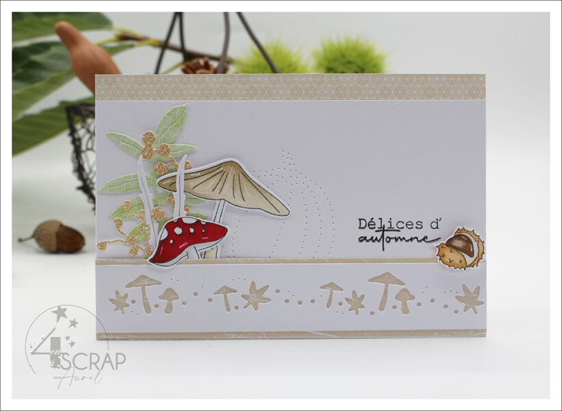 carte allongée, horizontale avec bouquet de champignons effet de relief